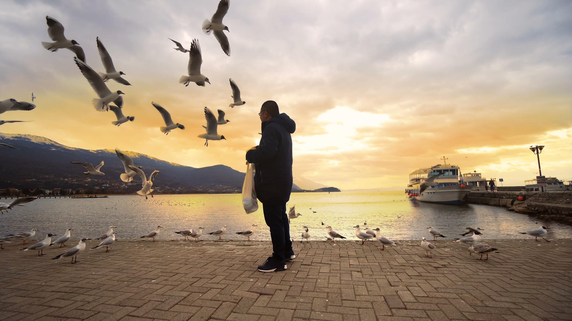 日落时海鸥在奥赫里德湖码头抢了一块面包视频的预览图