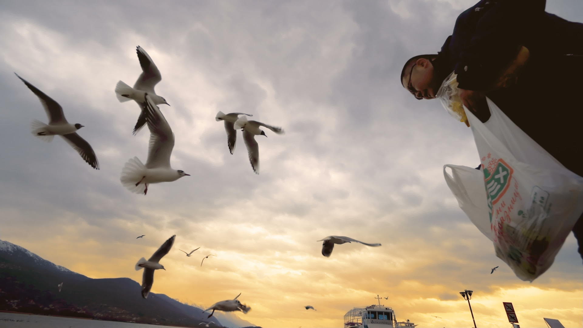 日落时海鸥在奥赫里德湖码头抢了一块面包视频的预览图