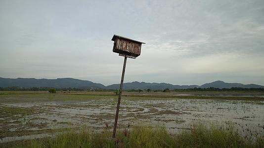 马雷语的balikkampung字意为回乡视频的预览图