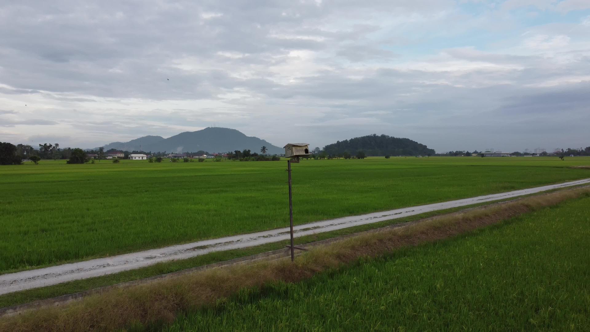 水稻田空中观鸟屋视频的预览图