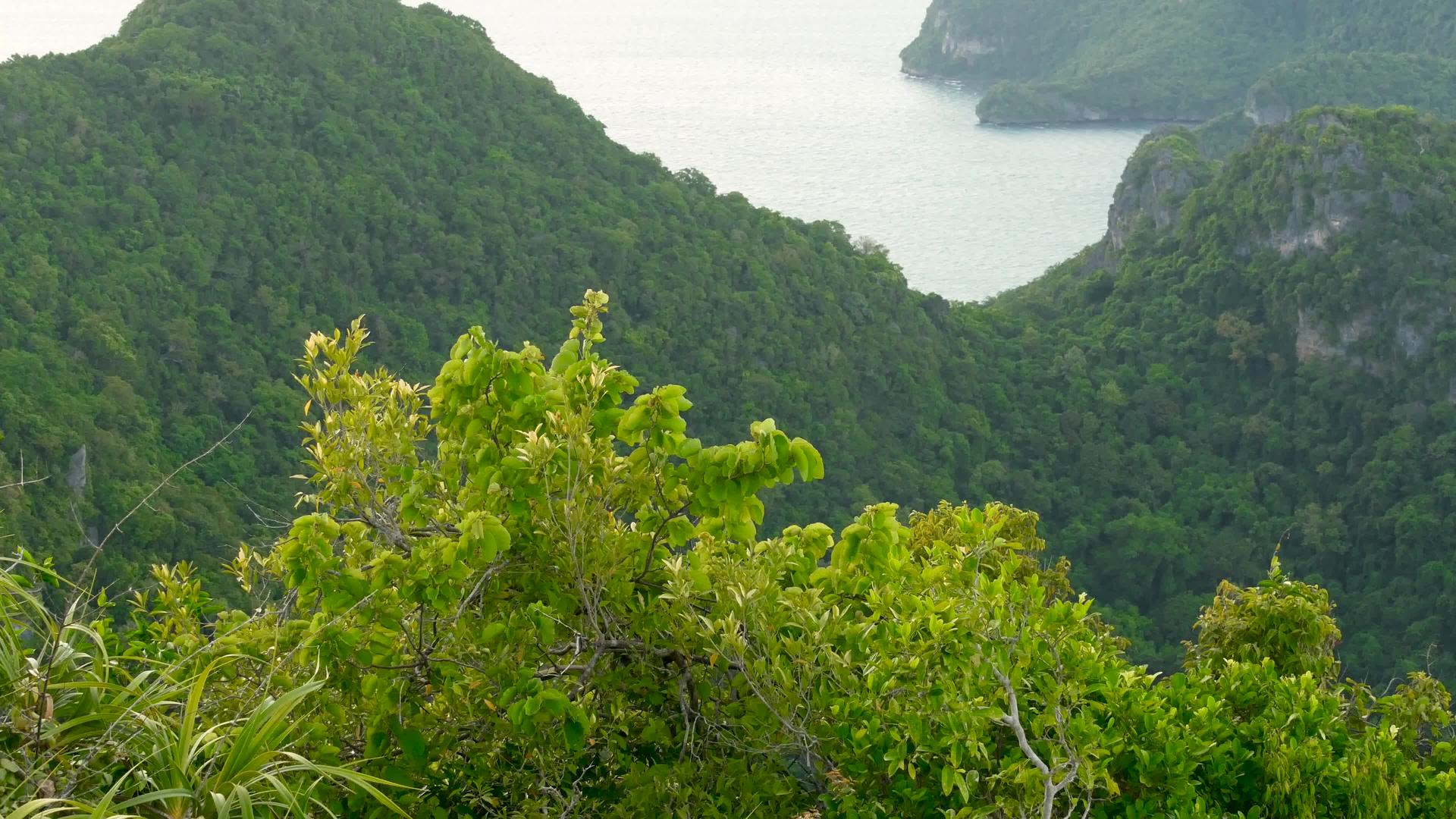 安通国家海洋公园位于苏梅岛天堂热带度假胜地附近视频的预览图