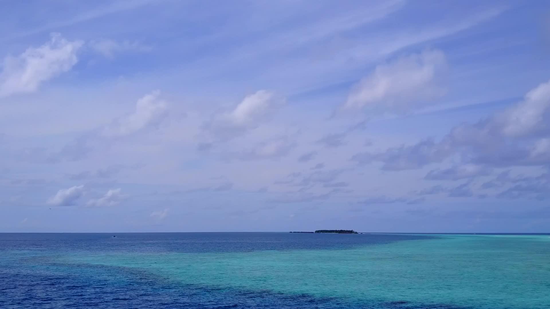 美丽的海岸线海滩野生动物无人机空中全景蓝海和清洁视频的预览图