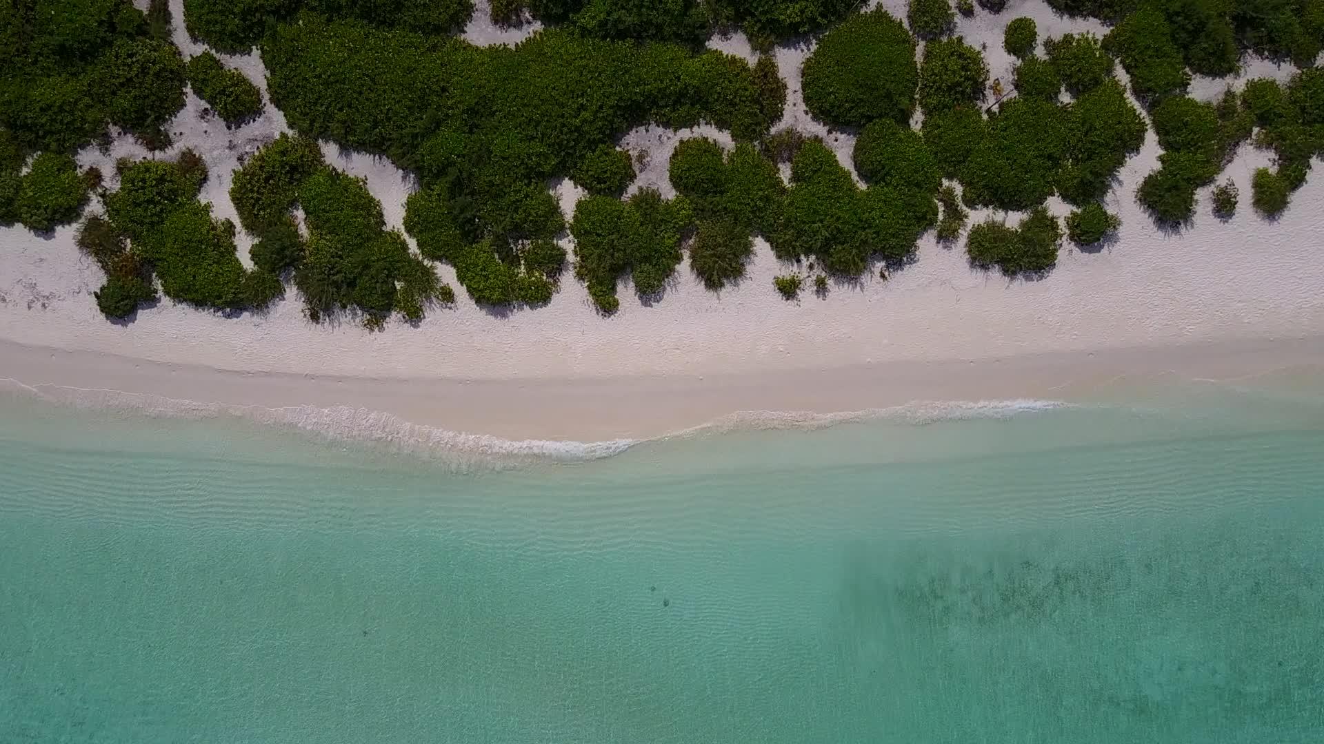 放松海湾海滩探险由蓝环礁湖和浅沙背景的蓝色砂岩组成视频的预览图