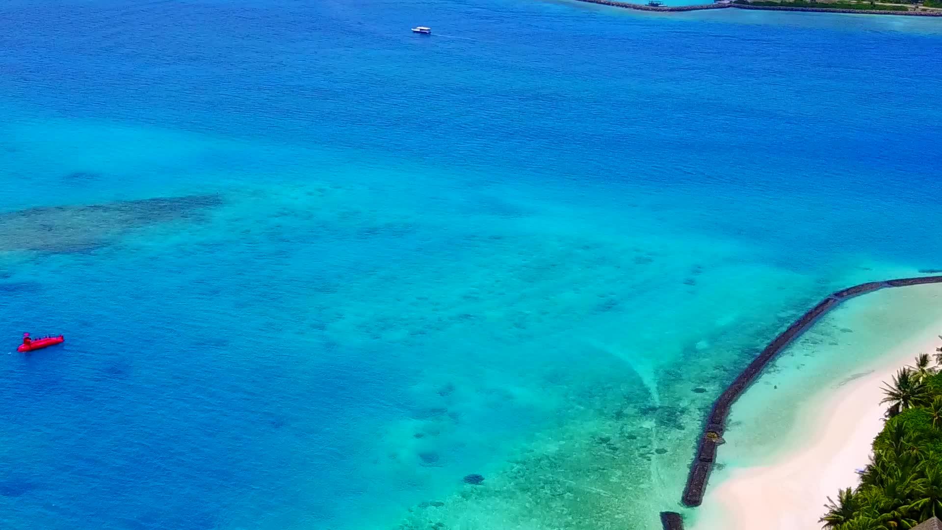 白沙背景绿松石海热带海岸海滩野生动物空中无人机全景视频的预览图