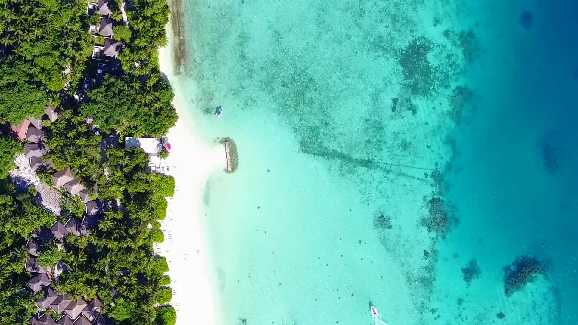 在蓝色环礁湖和白色沙滩的背景下观看完美的海滩之旅视频的预览图