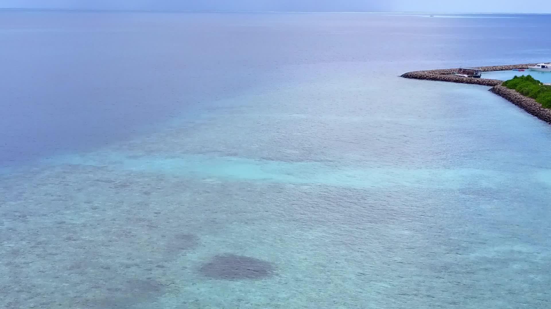 以蓝海和白沙为背景的热带海岸海滩野生动物在蓝海和白沙中飞行视频的预览图