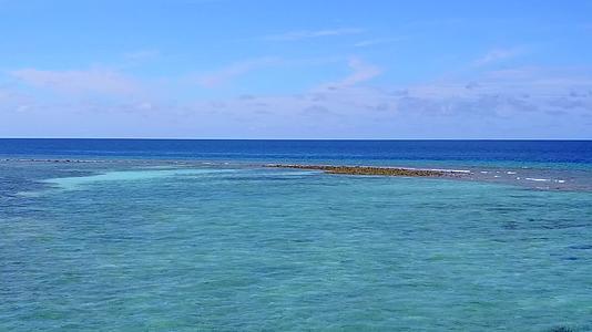 蓝海白沙背景海洋海滩野生动物空中无人机海景视频的预览图