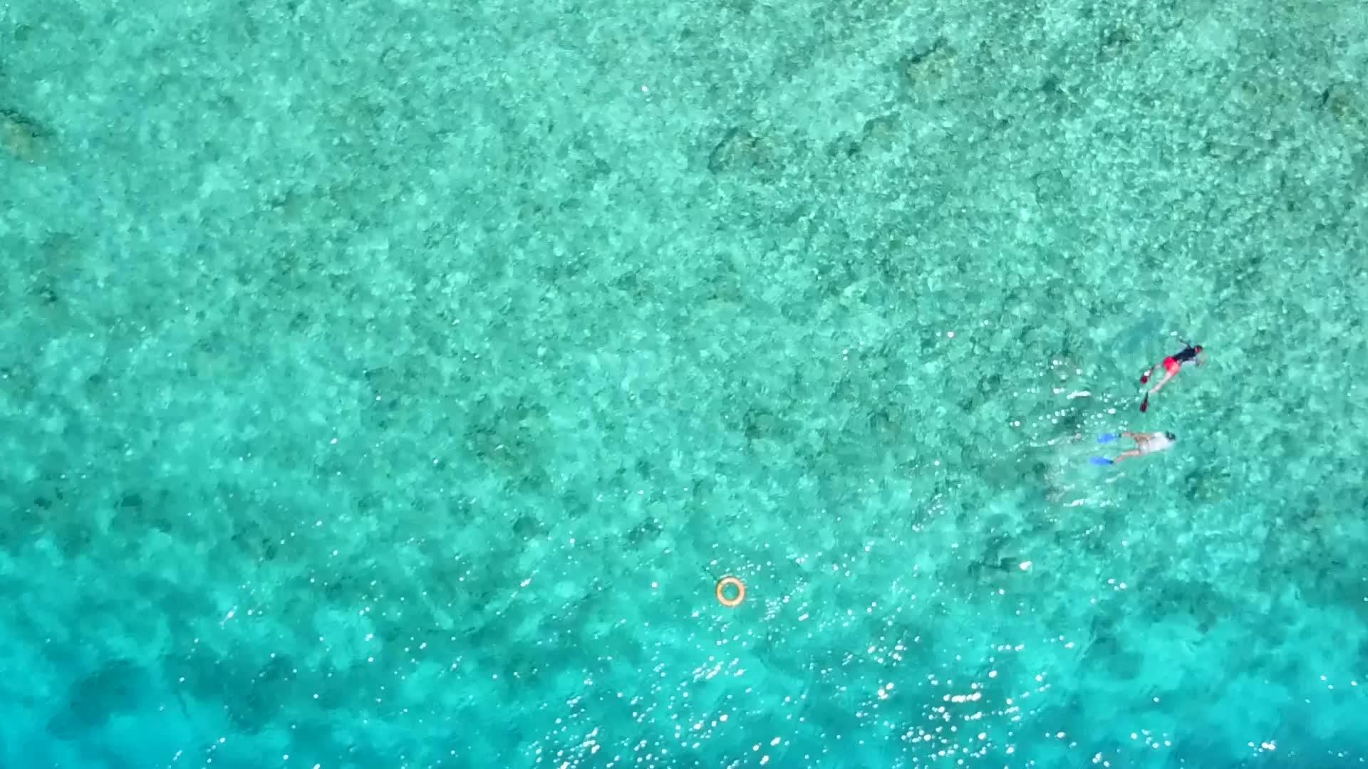 大海岸海滩视频的预览图