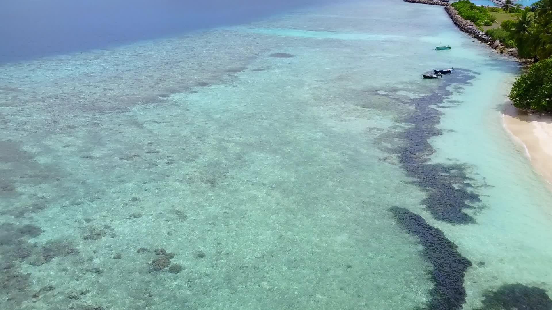 白沙的背景是透明的海洋是无人机的空中有豪华的海滩野生动物视频的预览图