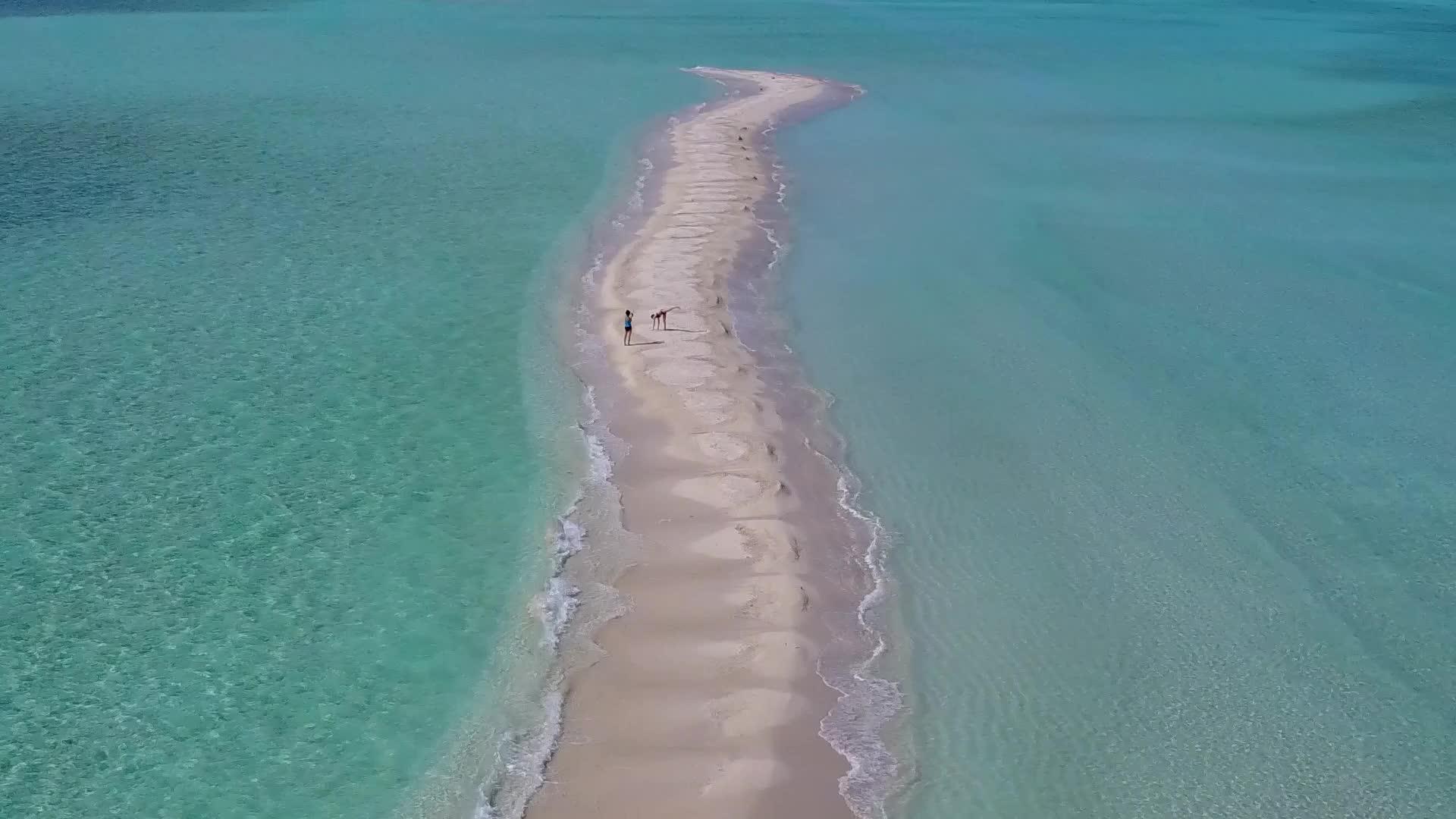 完美的旅游海滩野生的浅海空中观光完美旅游海滩野生生物视频的预览图