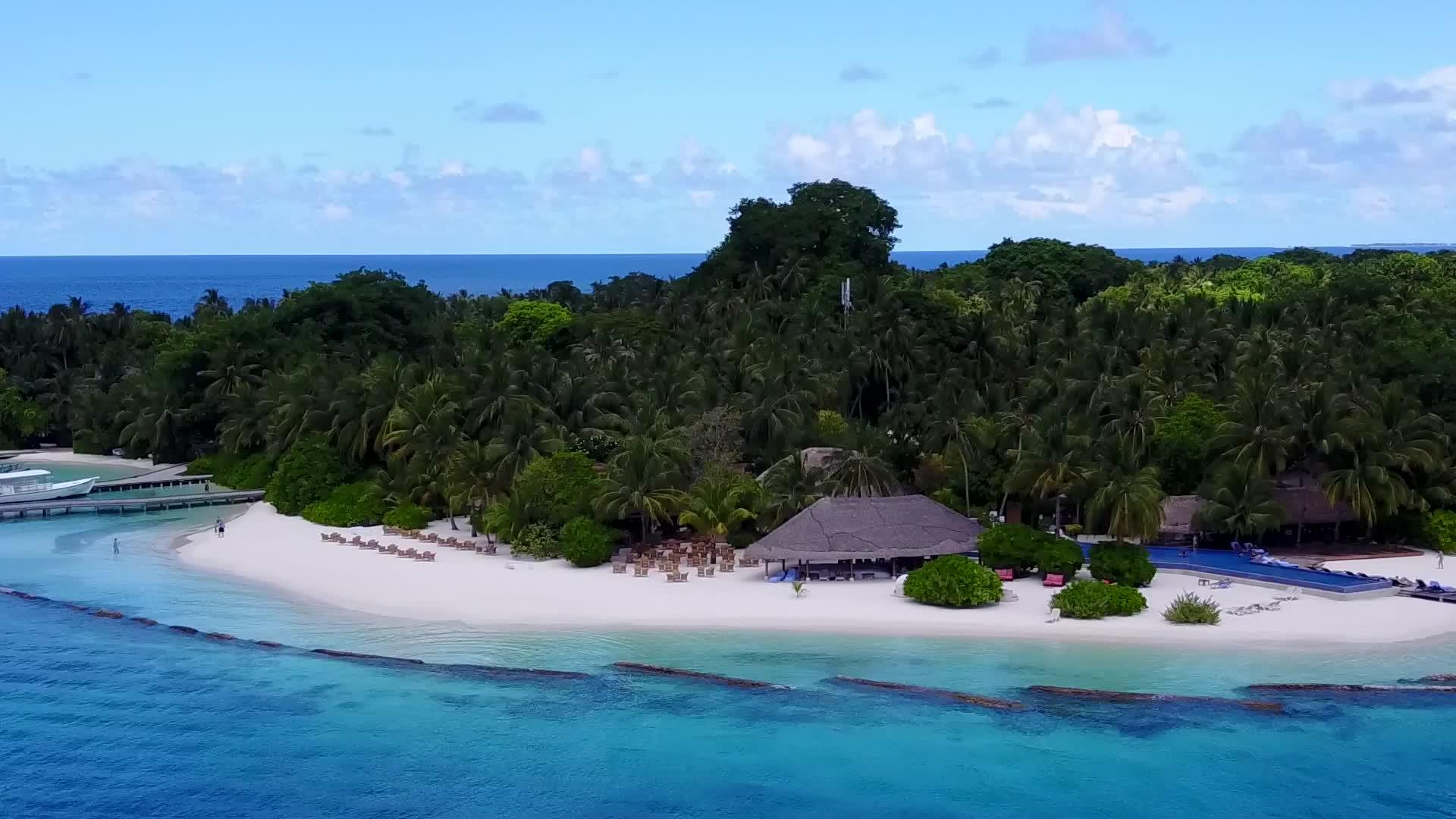 热带环礁湖海滩的野生生物通过蓝色海洋和干净的沙地背景视频的预览图
