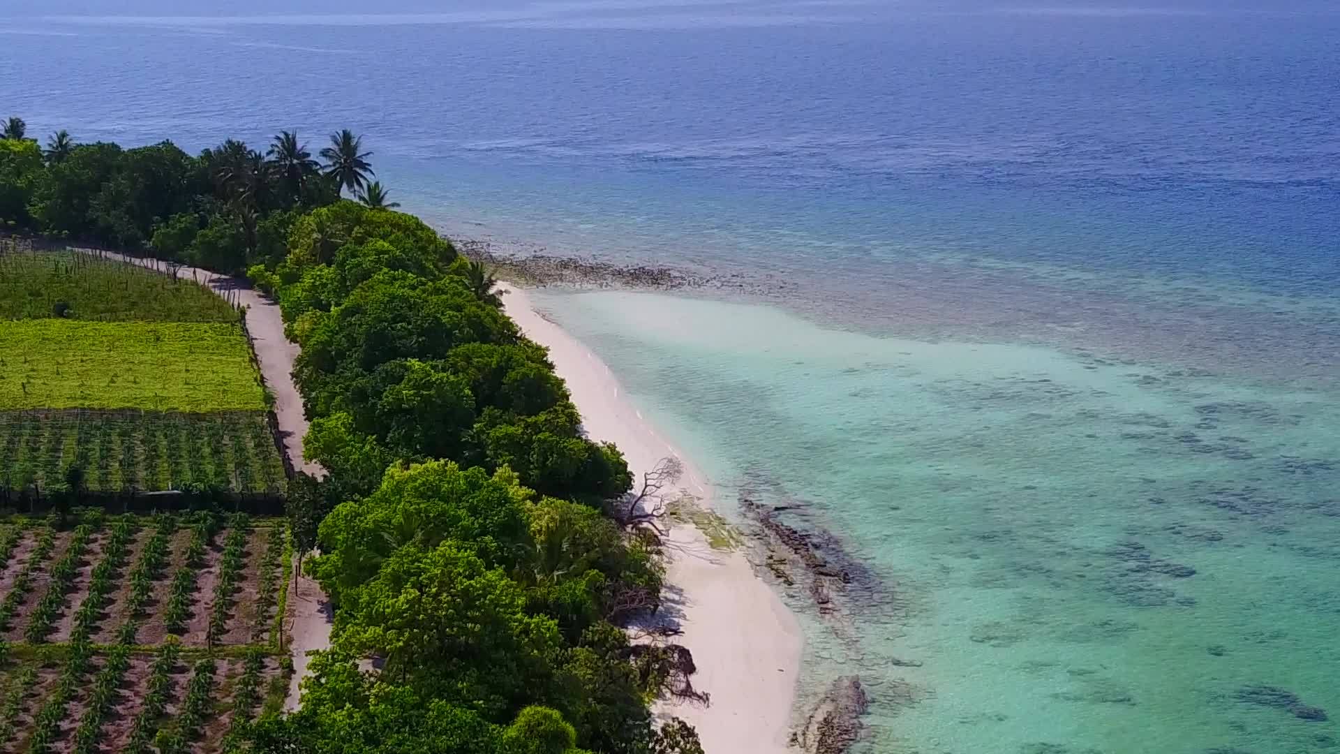 蓝色海平面以浅沙为背景放松旅游海滩野生生物的航行视频的预览图