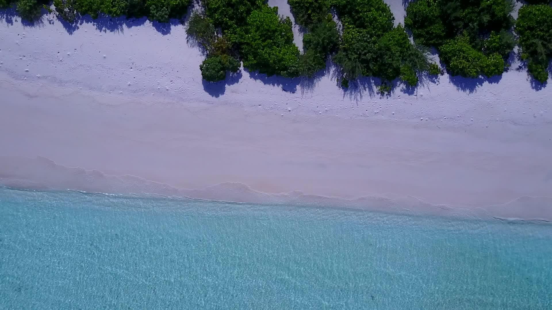 热带海滨海滩以清水和白沙底浅水冒险视频的预览图