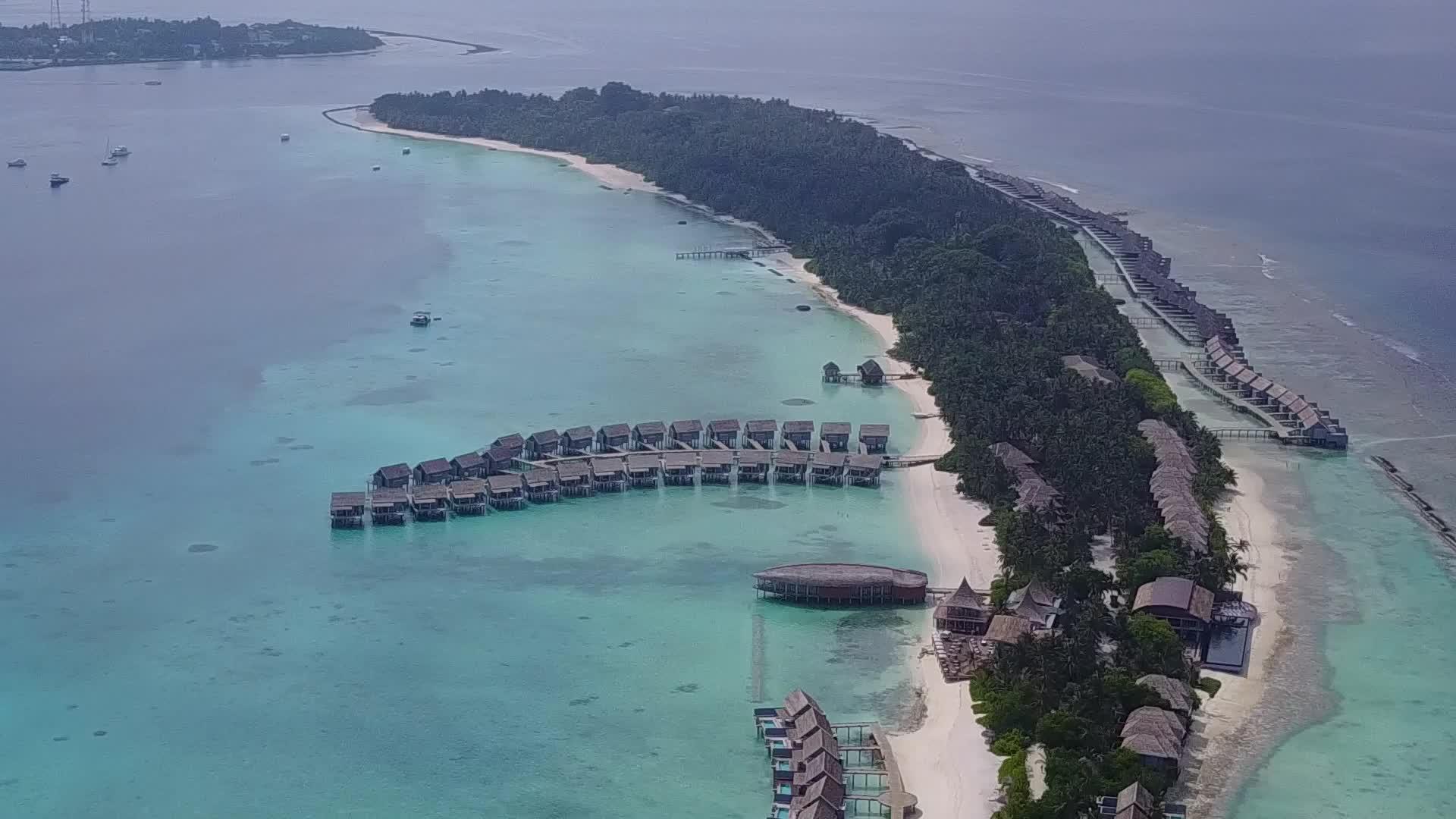 以蓝水和白沙为背景放松度假胜地的海滩野生动物视频的预览图