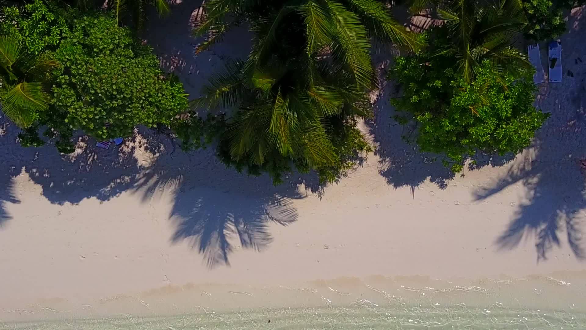 白沙背景蓝色泻湖异国旅游海滩野生动物无人机空中性质视频的预览图