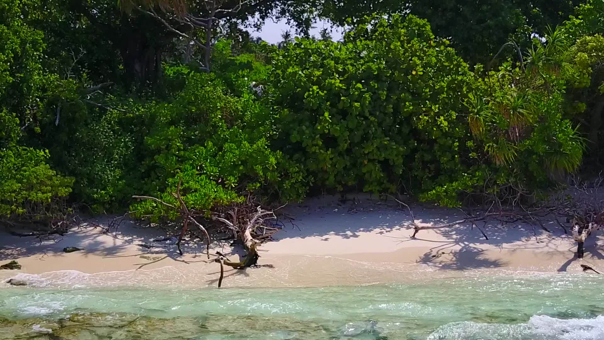 蓝绿色海和白色沙滩背景的异国海湾海滩无人驾驶飞机视频的预览图