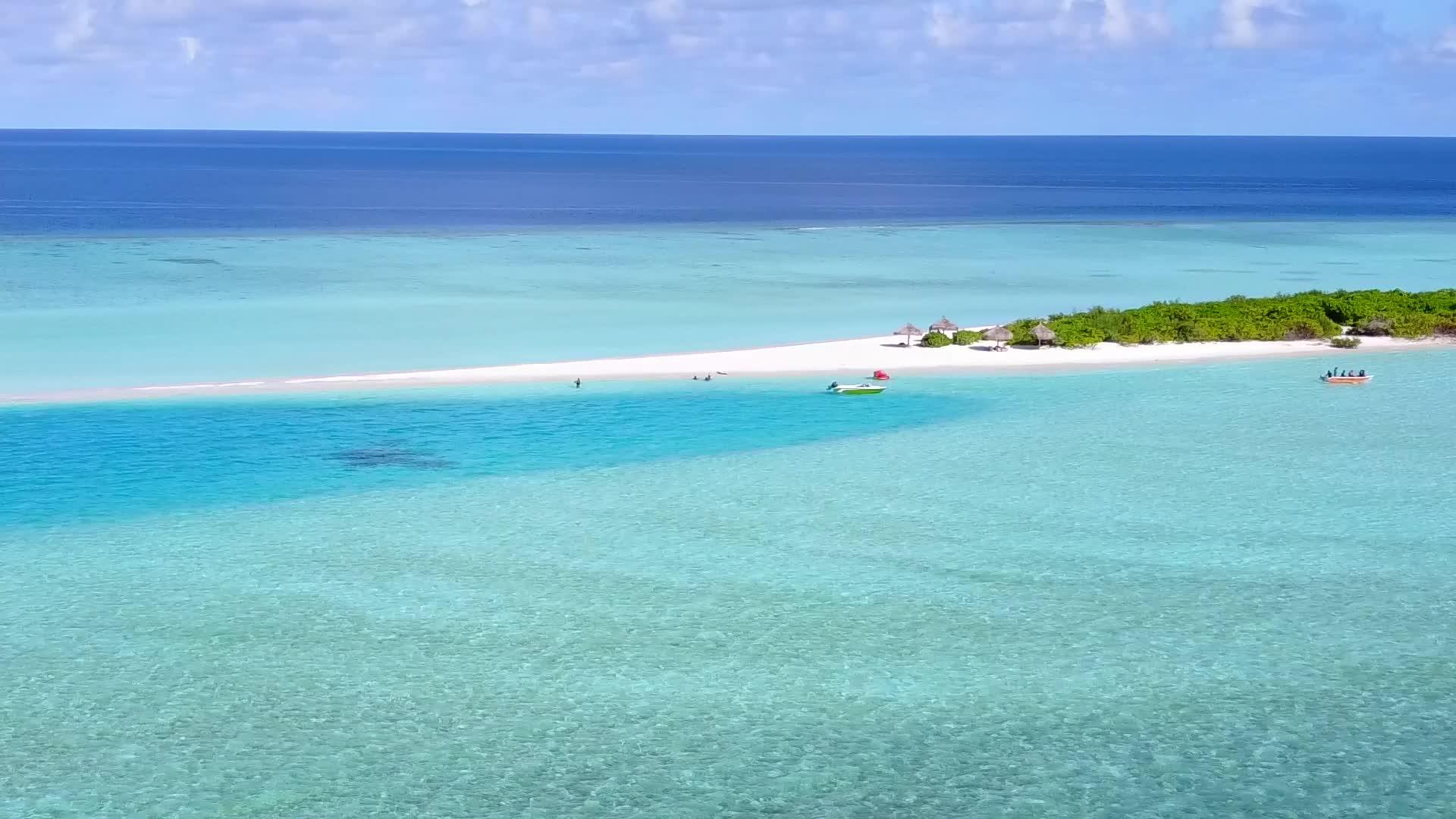 蓝海放松度假胜地海滩野生生物通过蓝海和白沙的背景视频的预览图