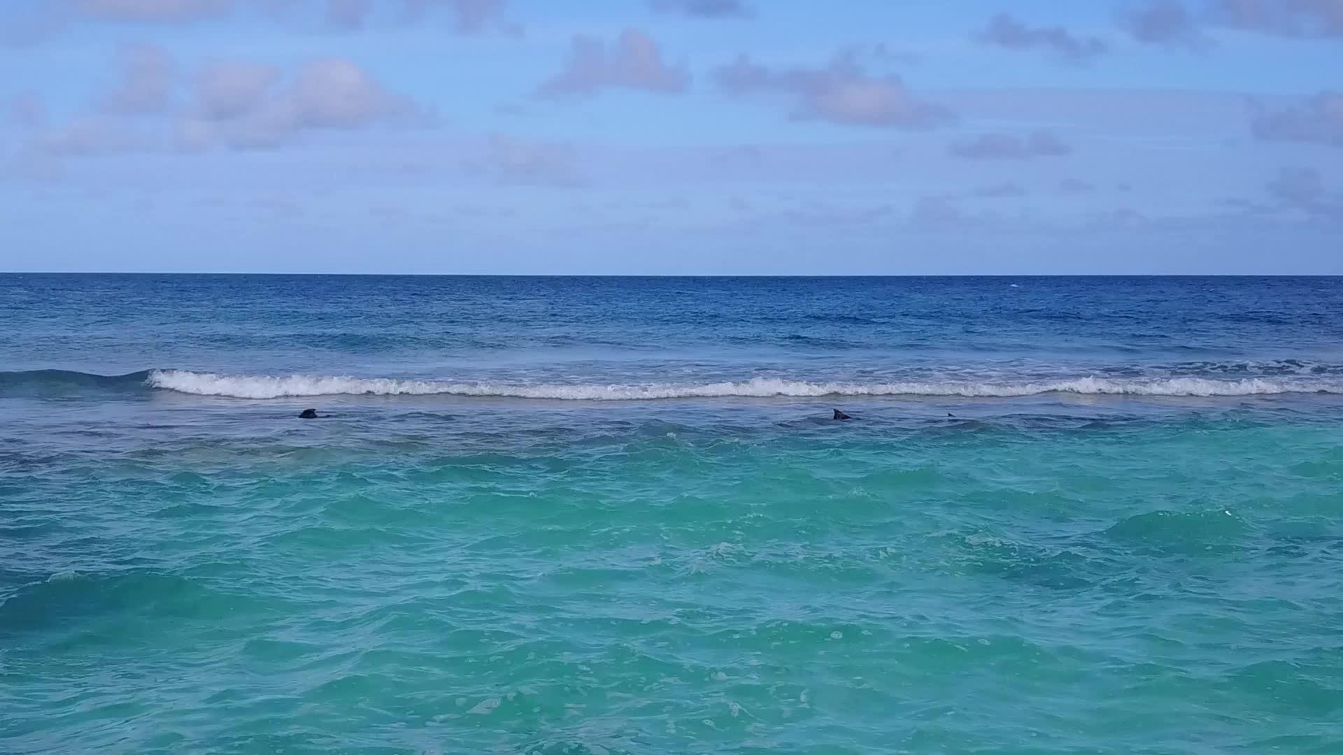 白沙底蓝环礁海洋岛屿海滩航程抽象空中空飞行摘要视频的预览图