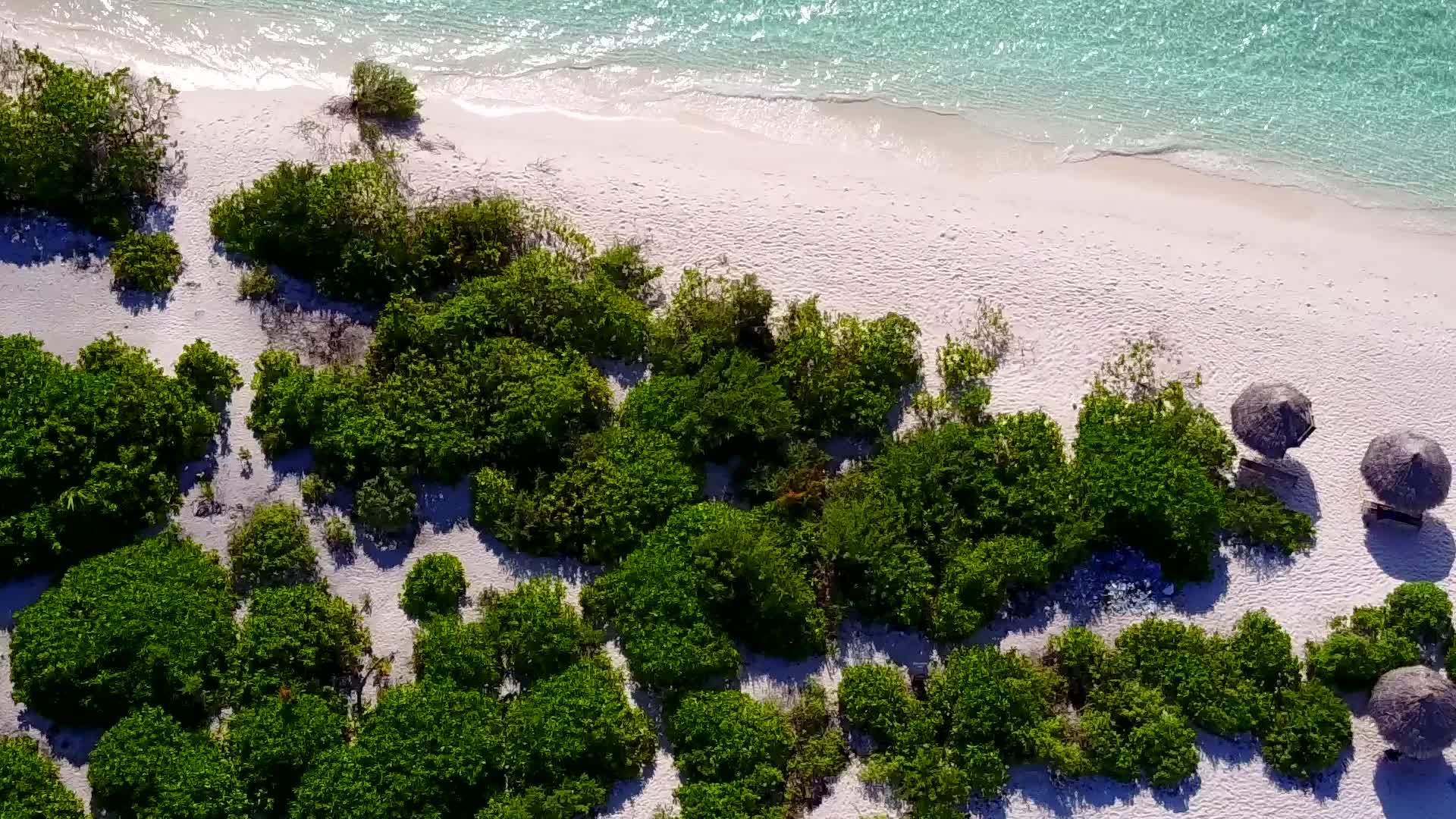 以浅沙为背景的蓝色海平面上的海滨海滩度假区视频的预览图