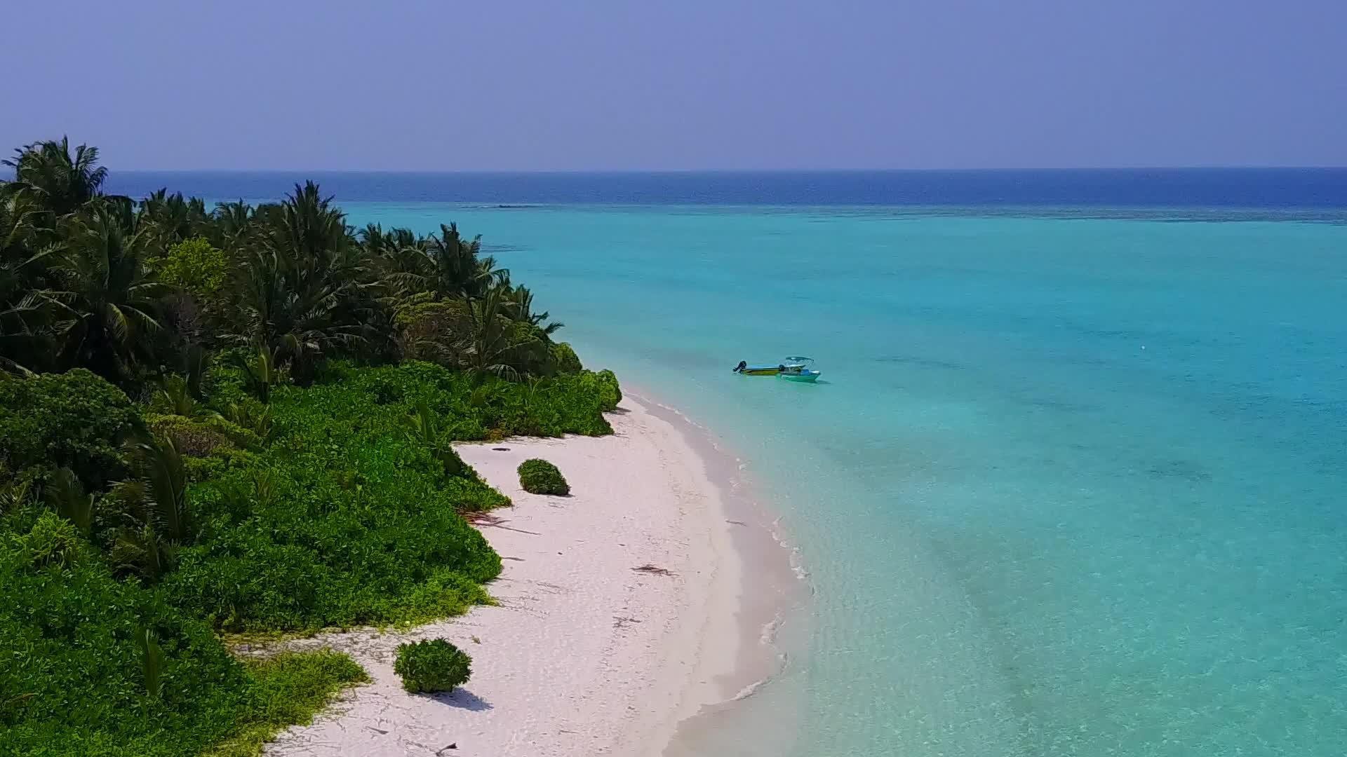 以蓝色绿色海洋为背景的奇异岛屿海滩岛屿海滩之旅视频的预览图