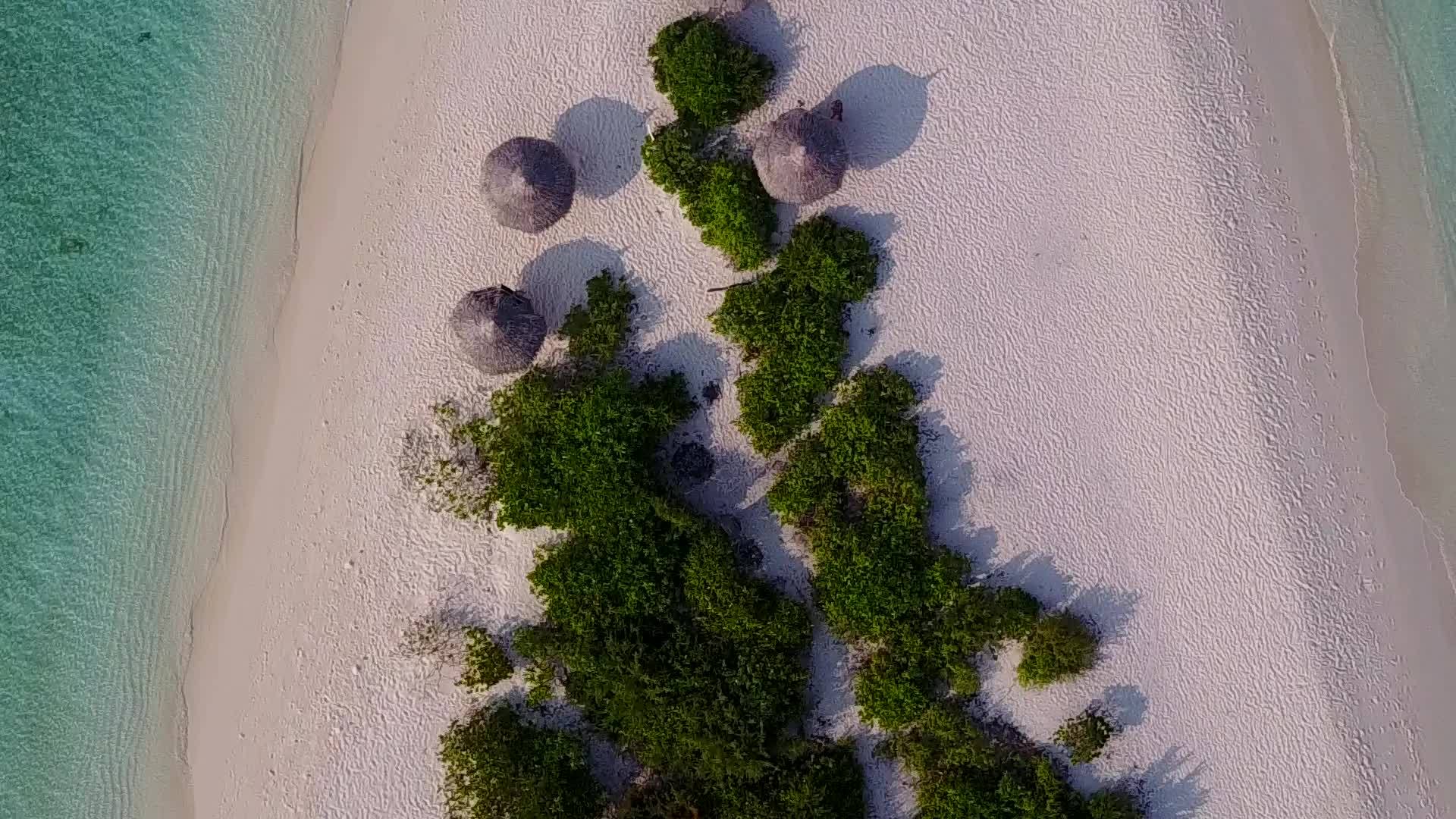 白沙底浅海天堂环礁湖海滩野生动物空中无人驾驶飞机视频的预览图