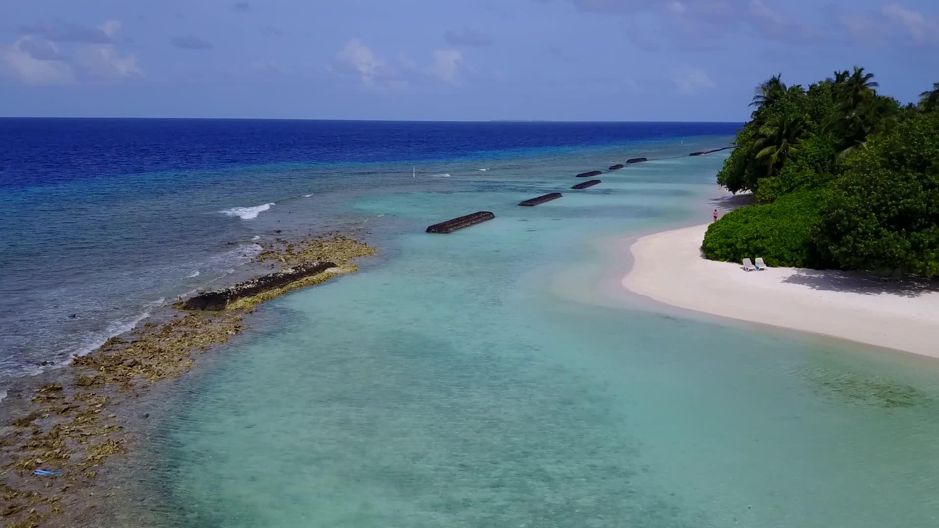 海滨海滩野生生物以蓝环礁湖和白沙为背景视频的预览图