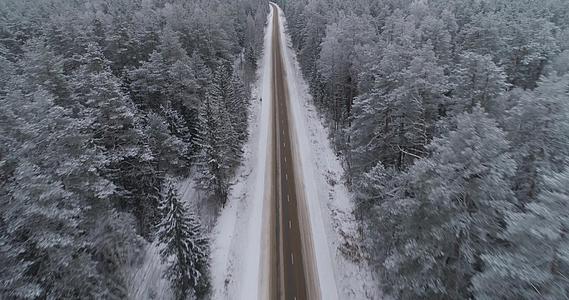 冬季森林道路视频的预览图