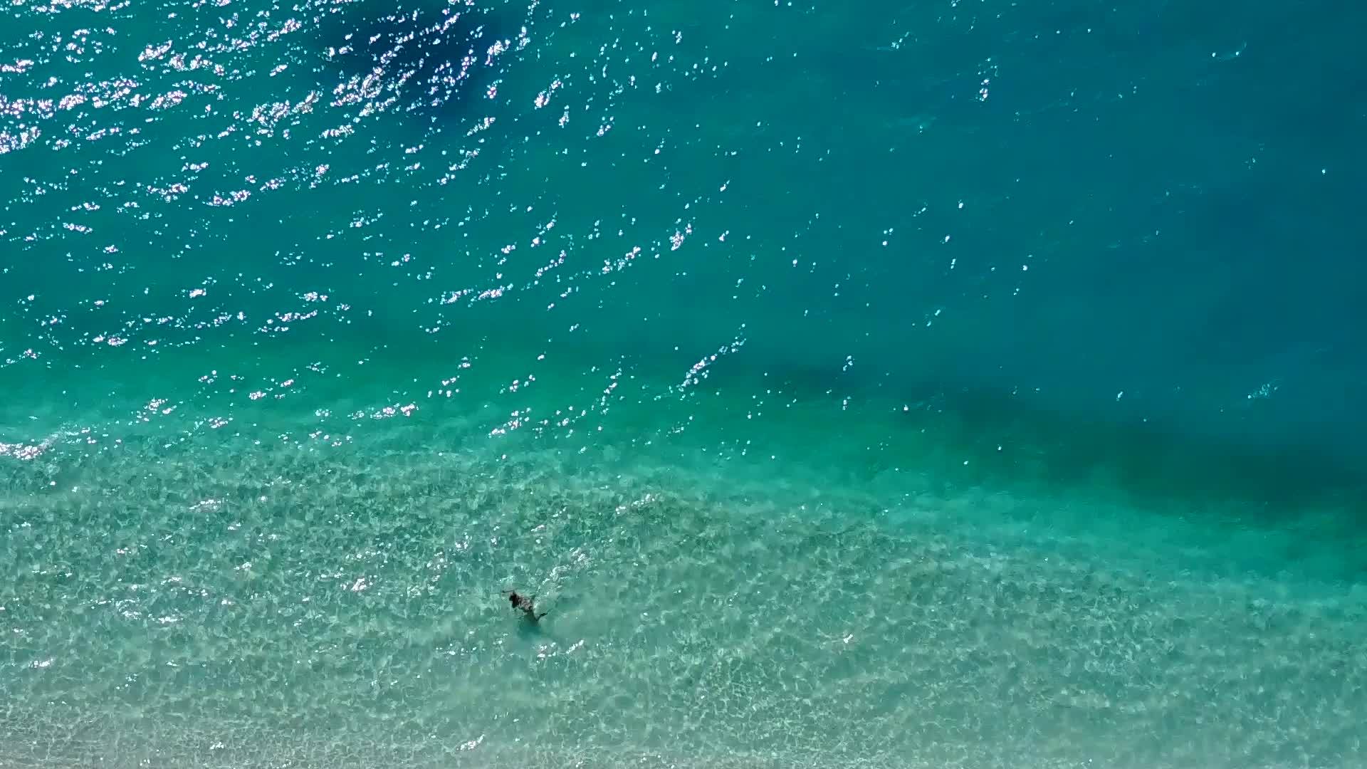 海滩巡航在蓝海和白沙的底部视频的预览图