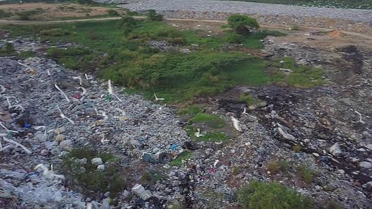 白灰鸟在垃圾填埋场附近飞翔视频的预览图