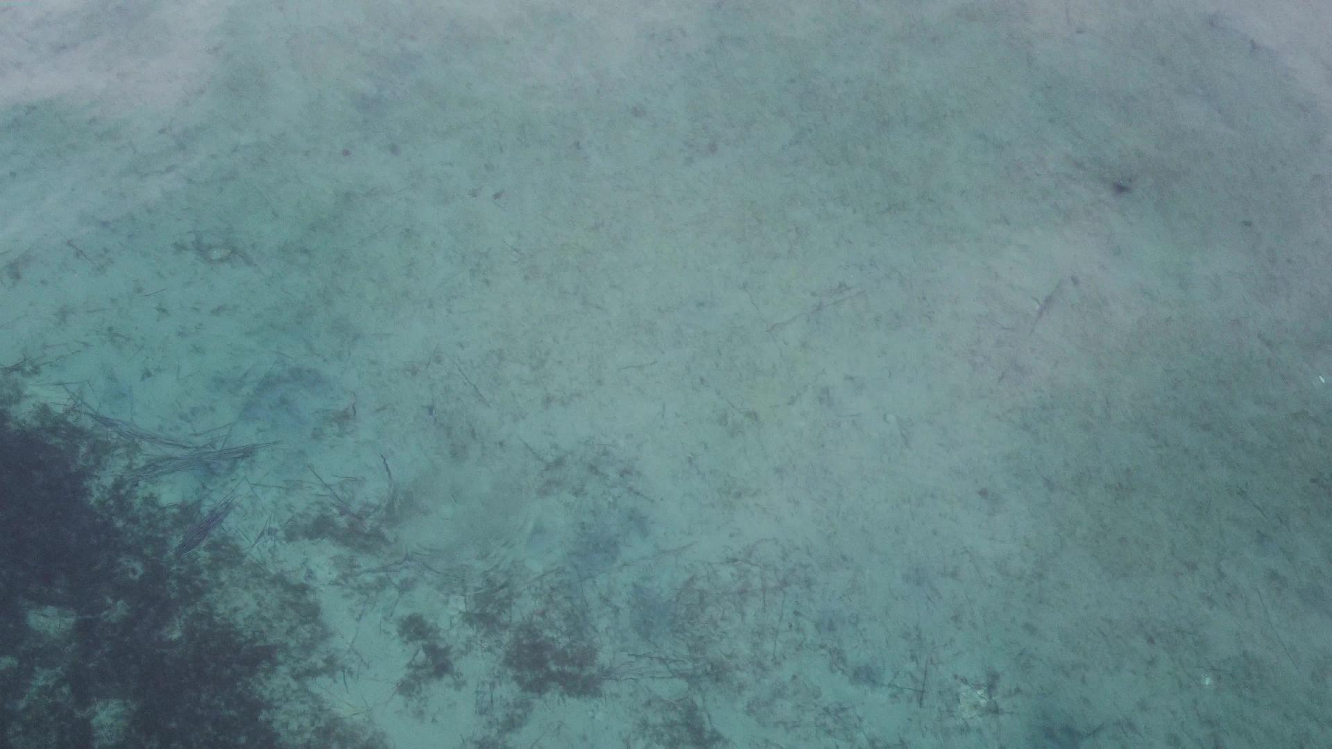 水晶湖鸭子游泳和潜水地下喷射器空中录像带视频的预览图