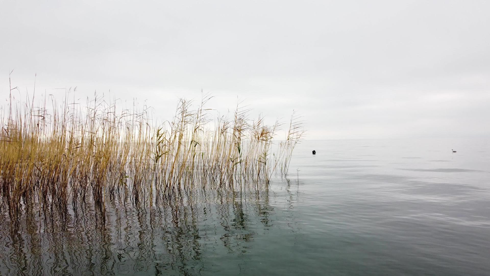 北马塞多尼亚奥赫里德湖视频的预览图