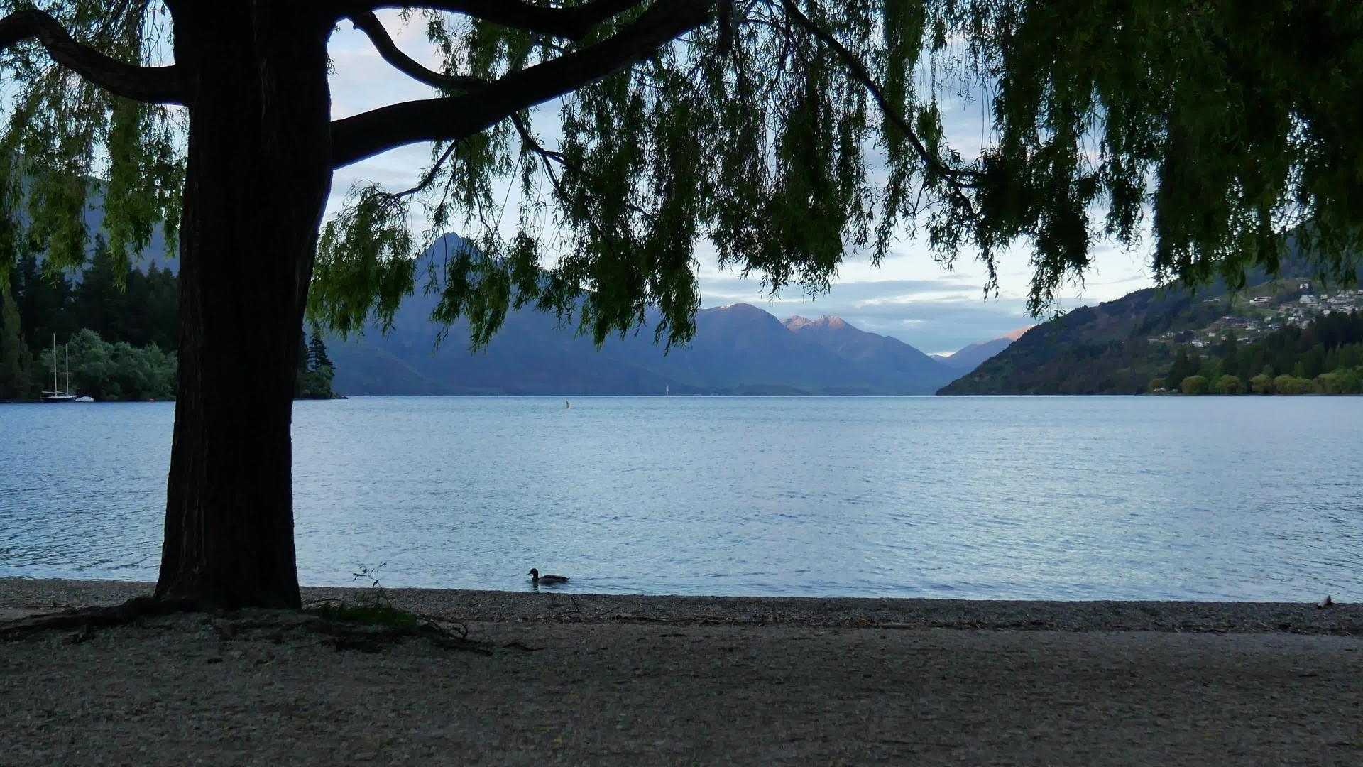 南岛瓦卡提普湖皇后镇和新西兰视频的预览图