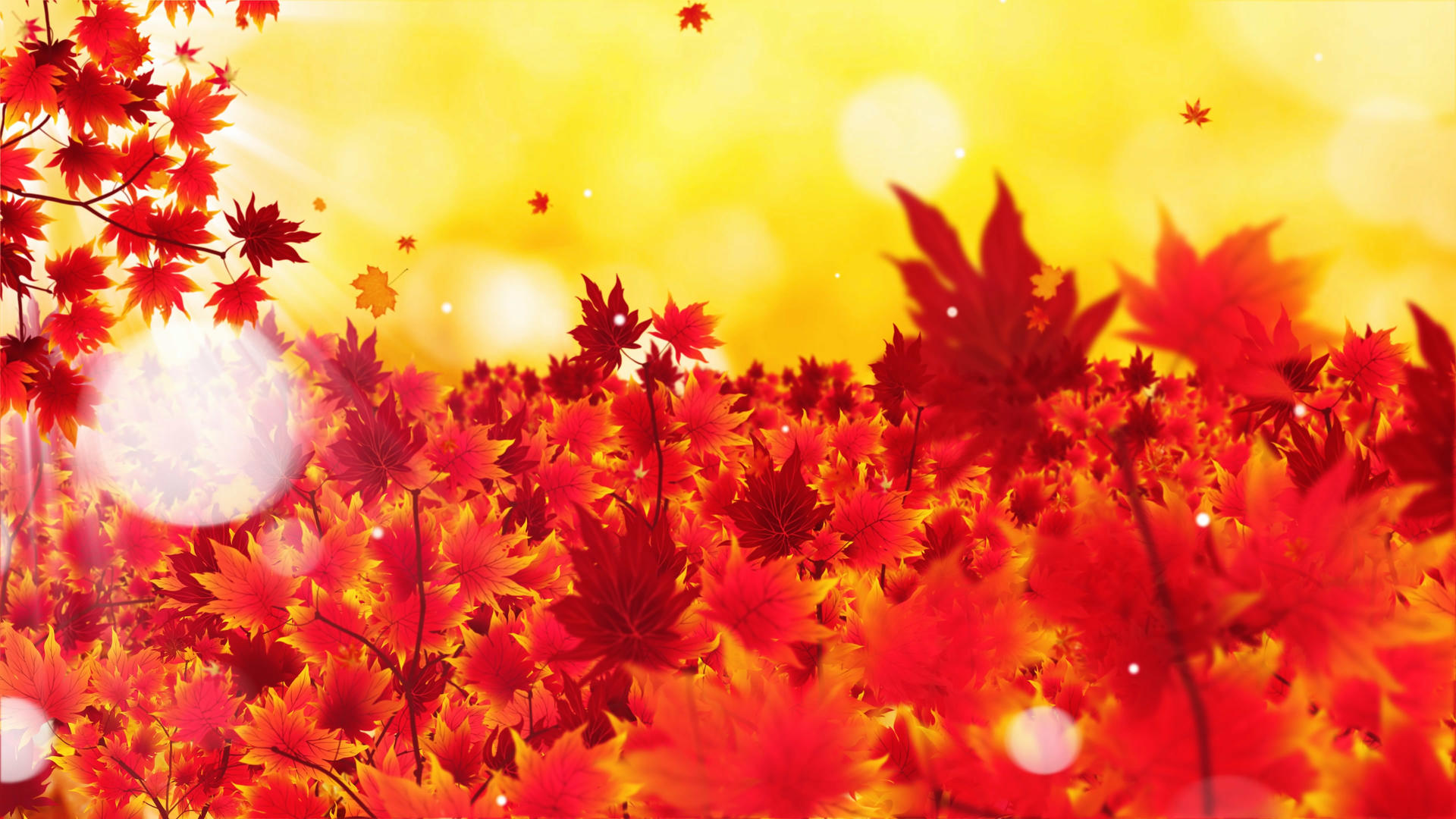 4K唯美的金秋枫叶背景素材视频的预览图