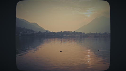 日落时在湖中游泳的鸭子视频的预览图