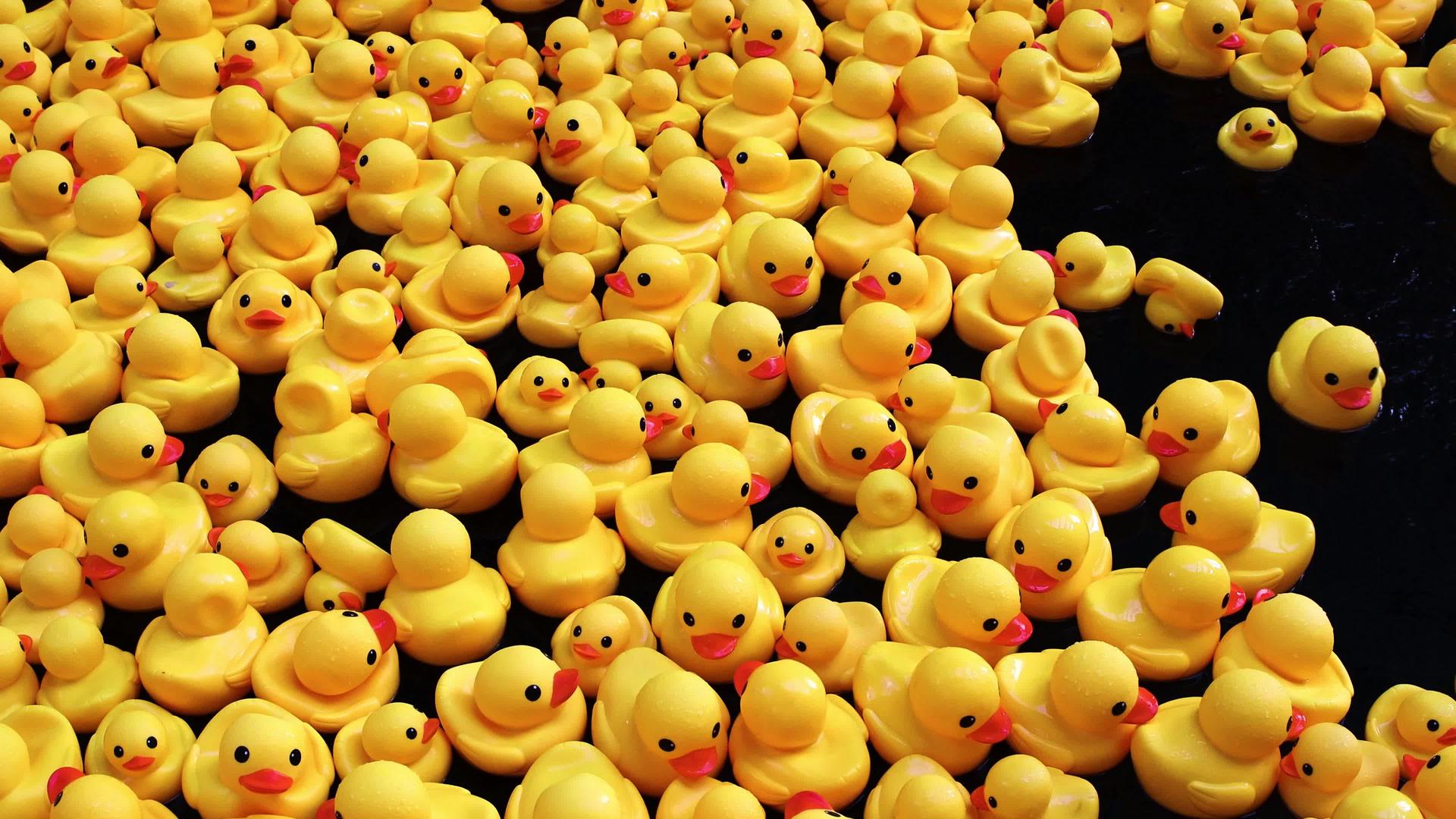 许多漂浮在水中的橡胶鸭玩具童年快乐和简单概念视频的预览图