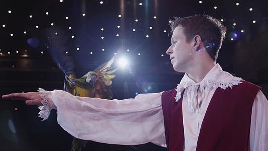 马戏团铁马和他的金刚鹦鹉视频的预览图