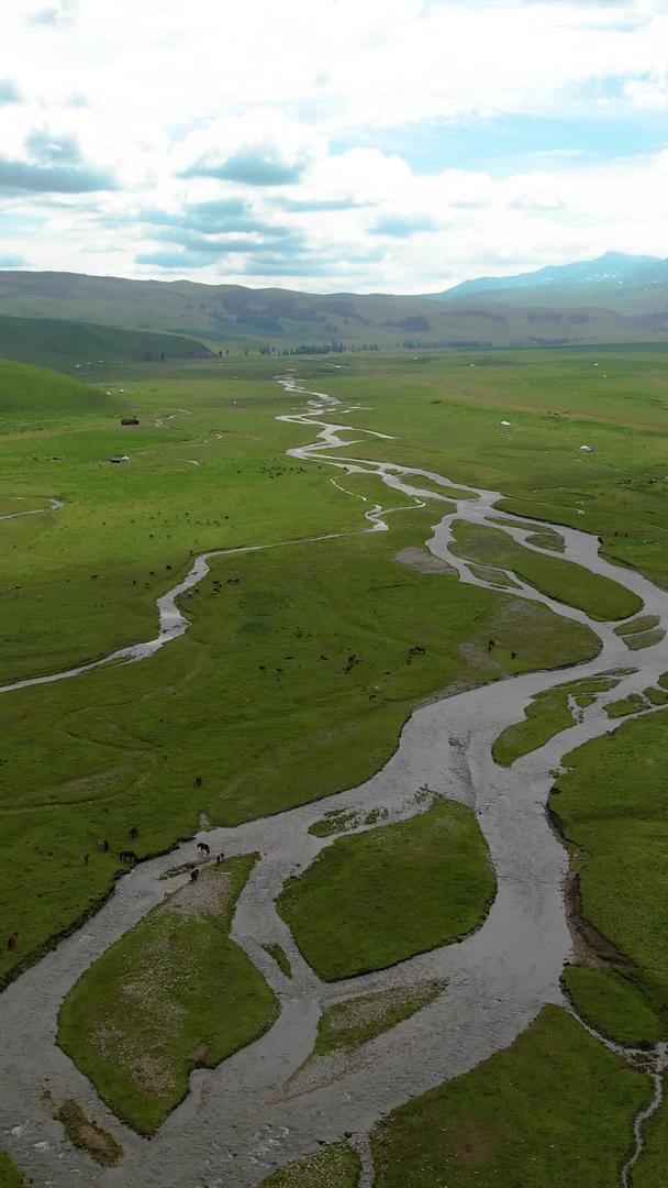 湿地河流在航拍5A那拉提空中草原上的视频视频的预览图