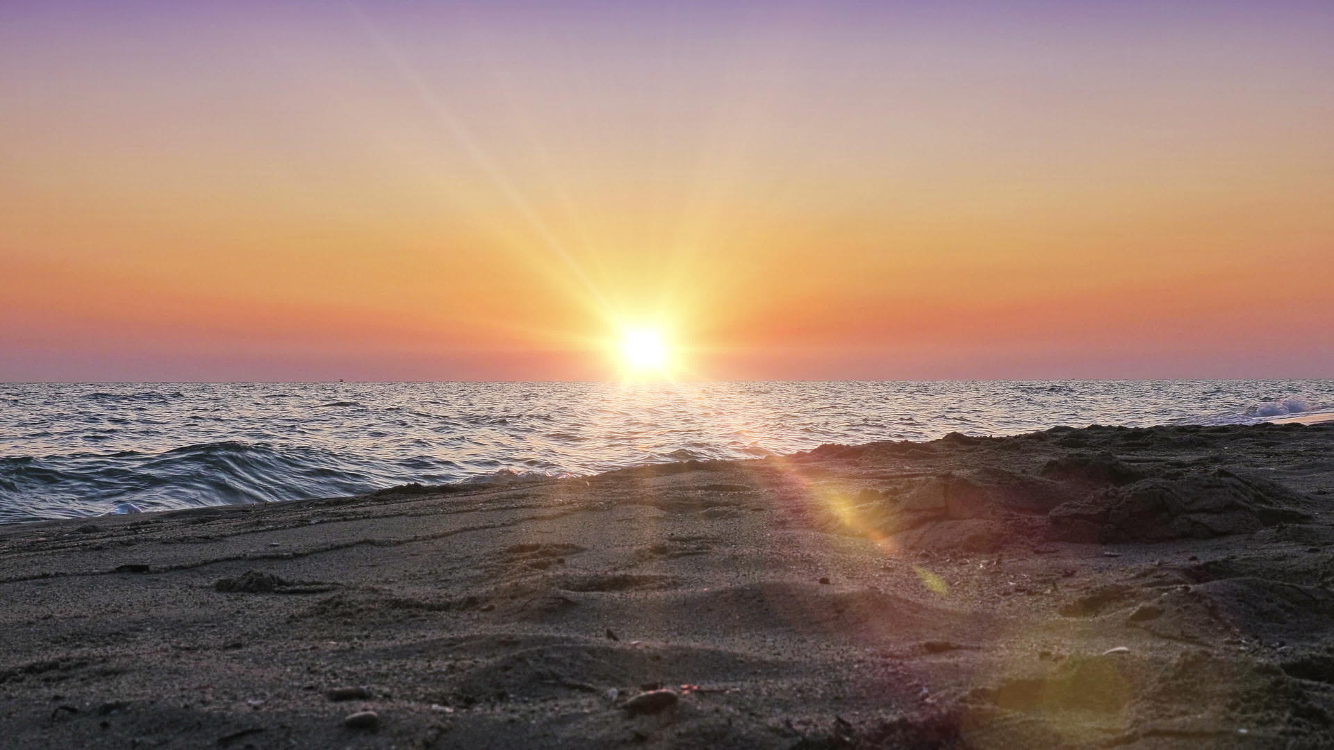 日出在海上视频的预览图
