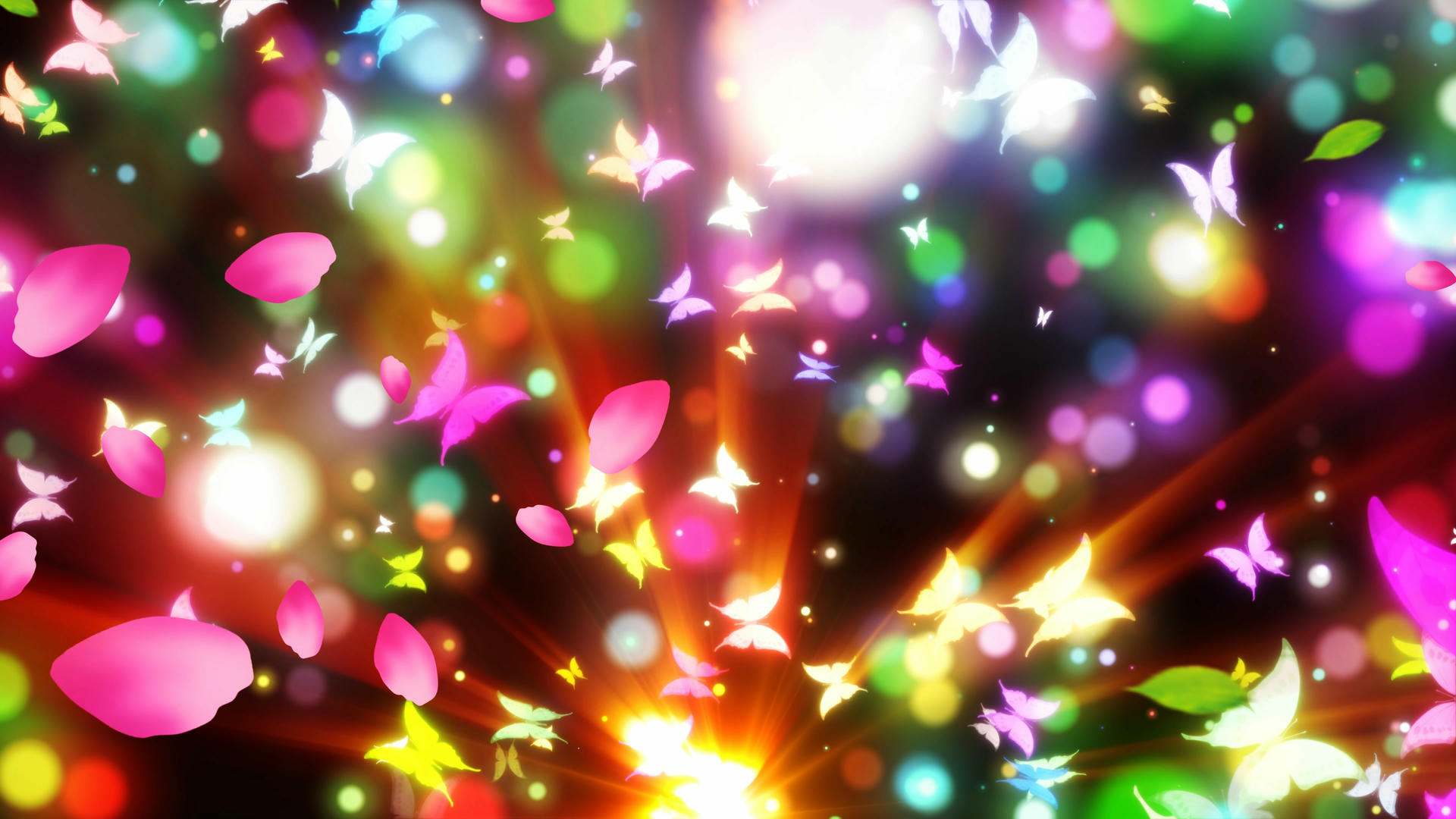 4K唯美的花瓣蝴蝶背景素材视频的预览图