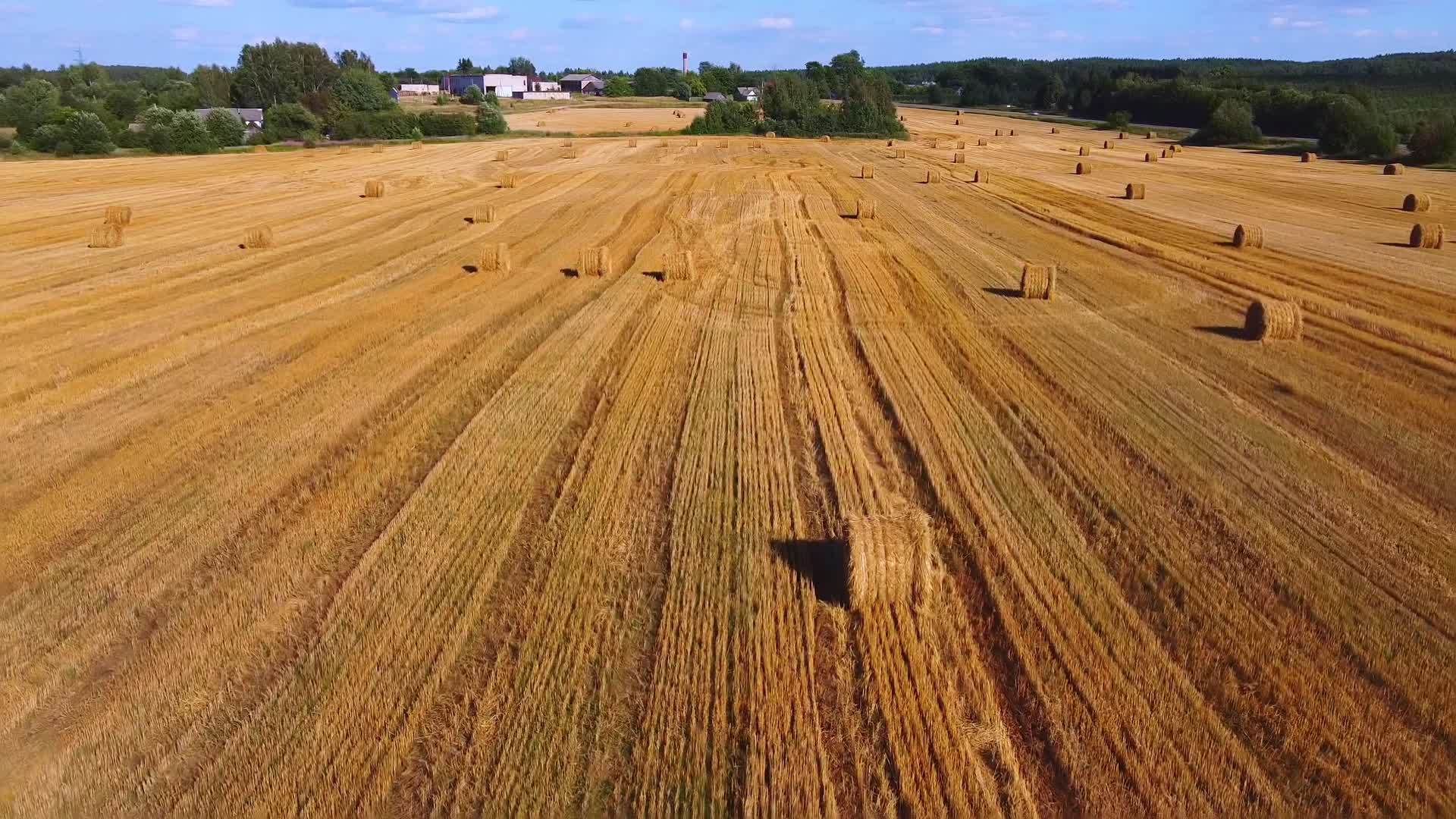 无人驾驶飞机飞越黄色收获的田地农业概念视频的预览图
