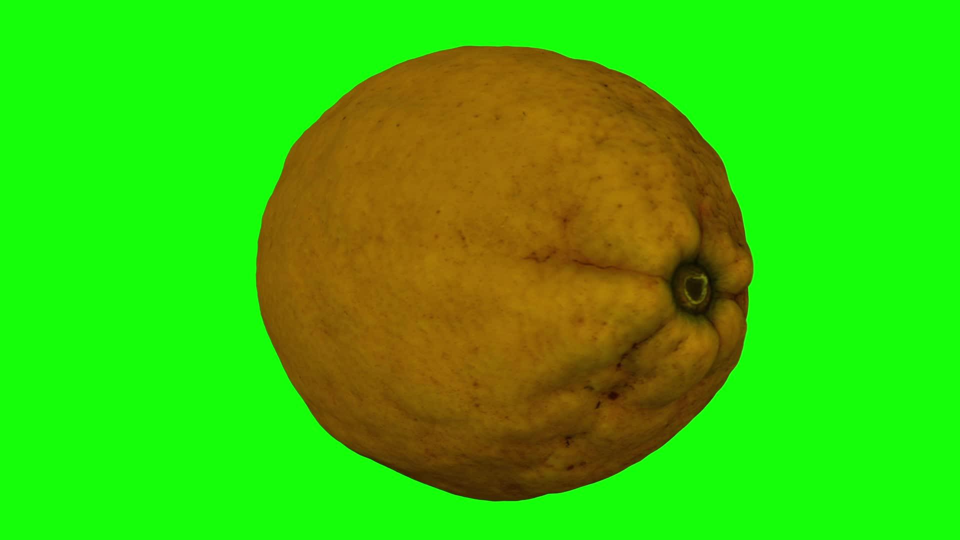 绿色背景旋转柠檬05a视频的预览图