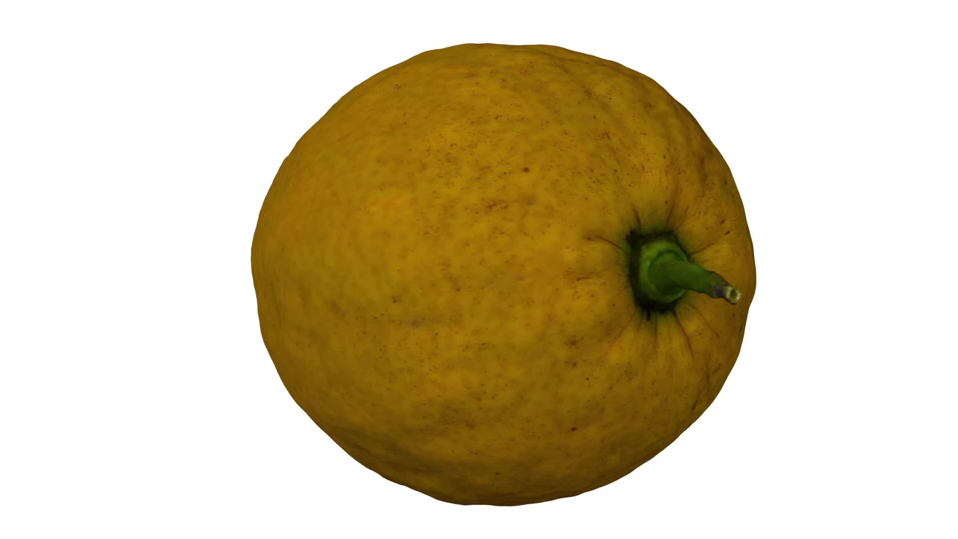 柠檬旋转06白色背景a滚动视频的预览图
