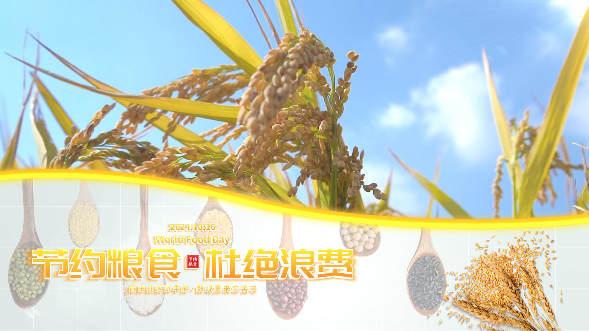 世界粮食日片头珍惜粮食拒绝浪费宣传展示片头视频的预览图