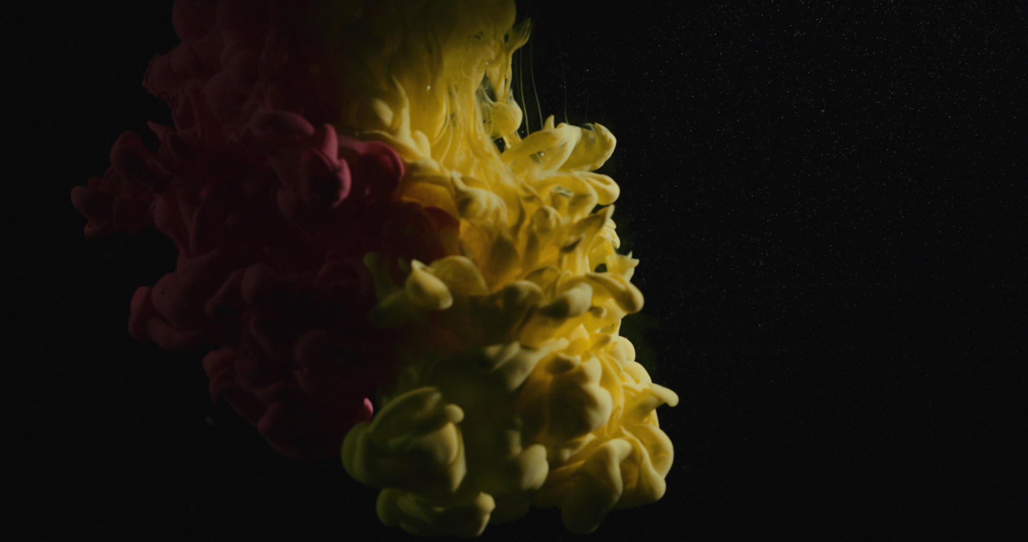 黄色和红色油漆在水中抽象溶解视频的预览图