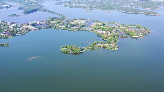 航拍武汉东湖绿道和湖心岛视频的预览图