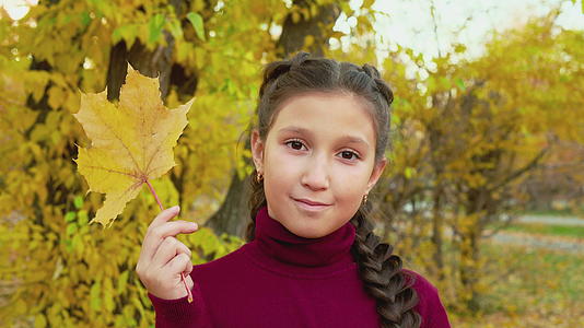 黑发女孩在秋天公园的脸上有一个枫叶辫子的肖像视频的预览图