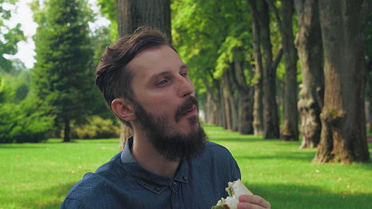 男人们闭上眼睛享受在公园里吃三明治和沙拉的味道视频的预览图