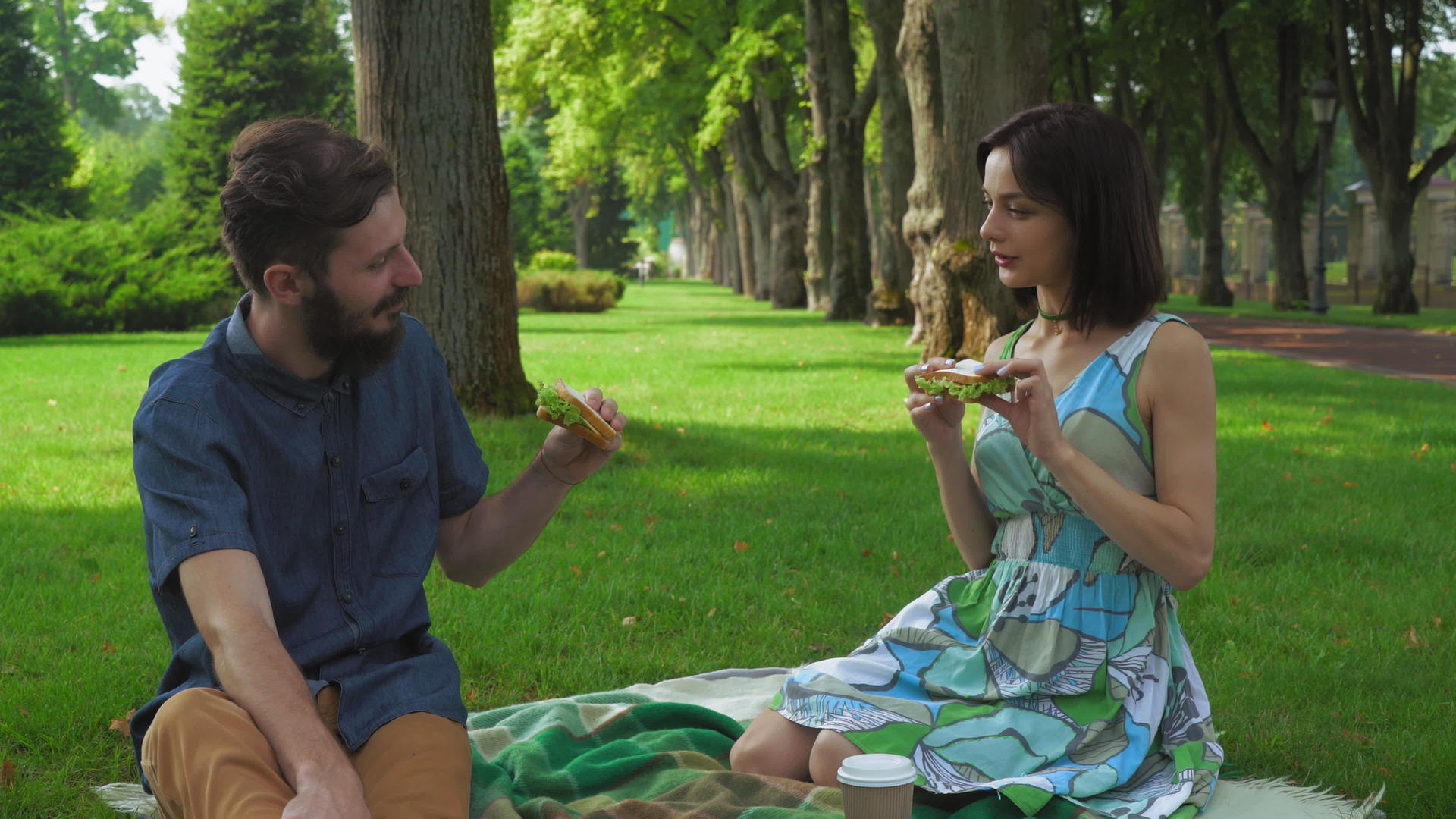 和女孩一起吃三明治的男孩在野餐时加沙拉视频的预览图