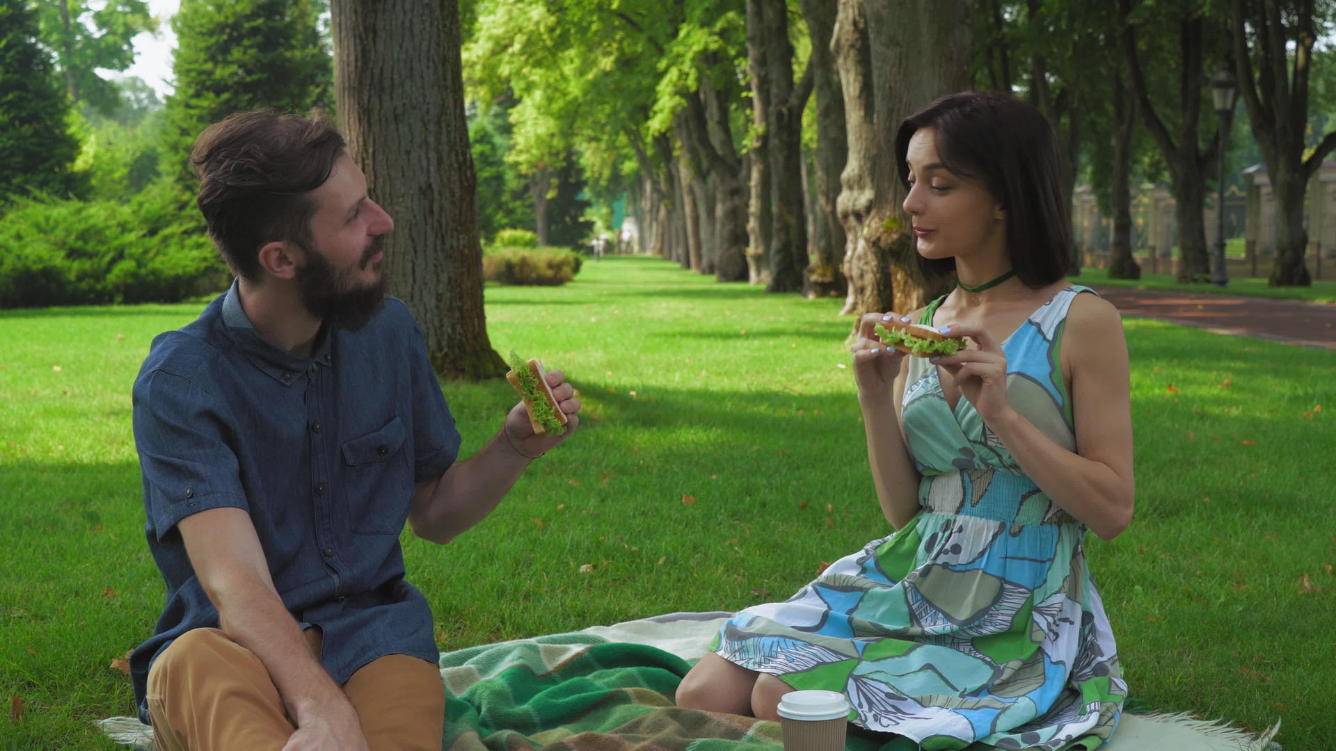夏季野餐公园的年轻夫妇享受三明治视频的预览图