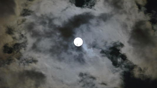 满月夜云视频的预览图